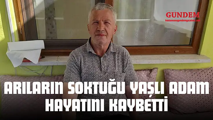 Arıların Soktuğu Yaşlı Adam Hayatını Kaybetti
