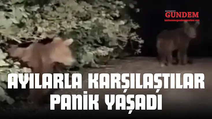 Ayılarla Karşılaşan Vatandaşlar Panik Yaşadı