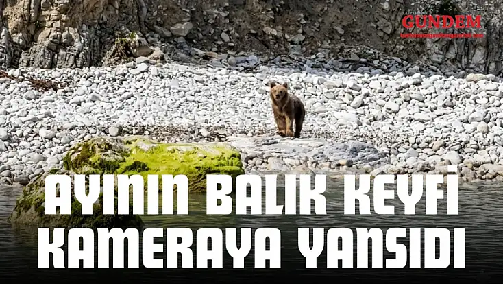 Ayının Balık Keyfi Kameraya Yansıdı