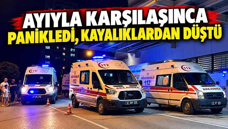 Ayıyla Karşılaşınca Panikledi, Kayalıklardan Düştü