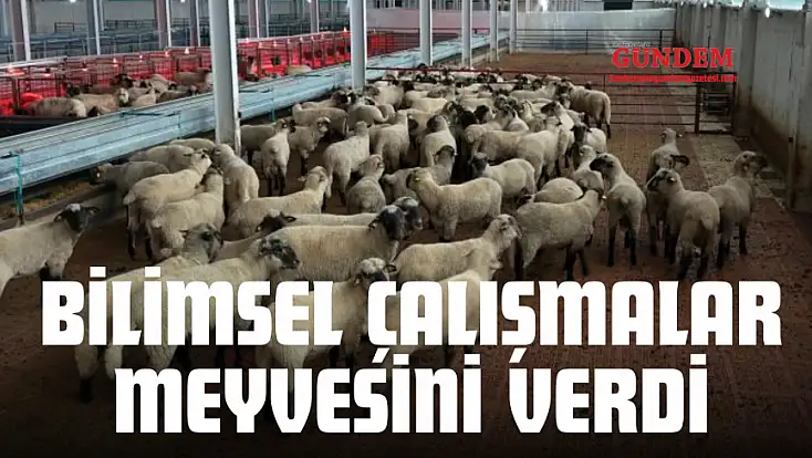 Bilimsel Çalışmalar Meyvesini Verdi