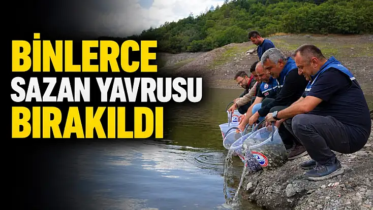 Binlerce Sazan Yavrusu Bırakıldı