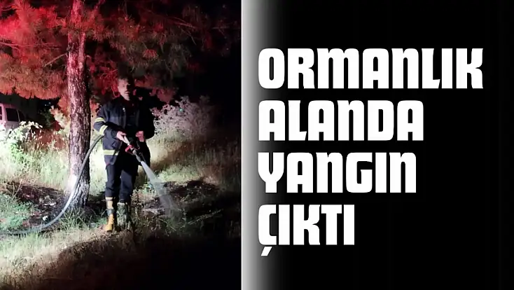 Candaroğulları Mahallesi'ndeki Ormanlık Alanda Yangın Çıktı