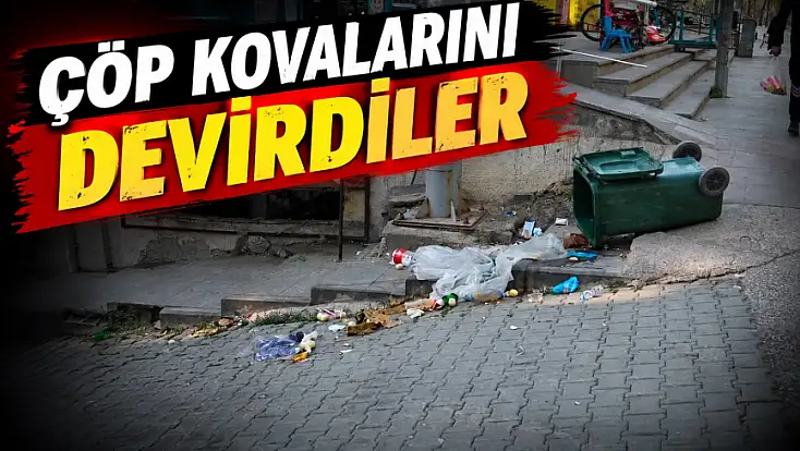 Çöp Kovalarını Devirdiler, Belediye Harekete Geçti!