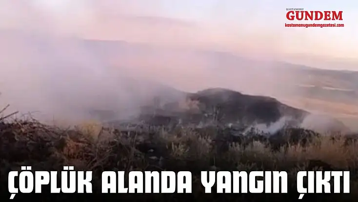Çöplük Alanda Yangın Çıktı