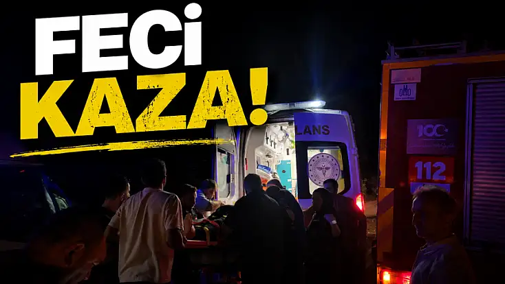Feci Kaza!