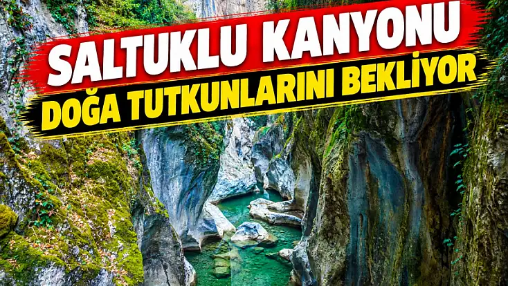 Güzelliğiyle Mest Ediyor