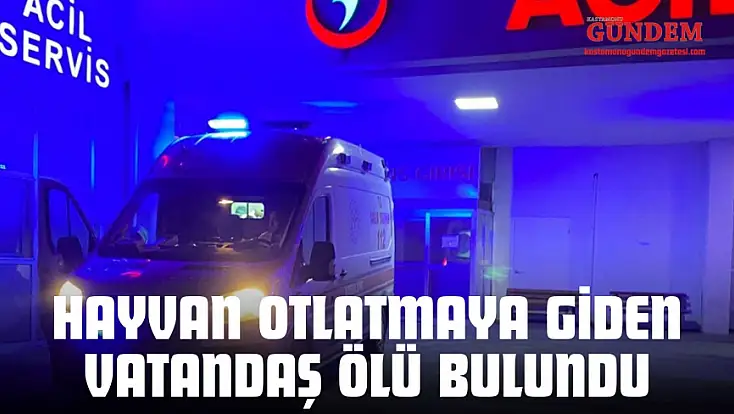 Hayvan Otlatmaya Giden Vatandaş Ölü Bulundu