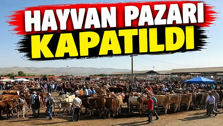 Hayvan Pazarı Kapatıldı