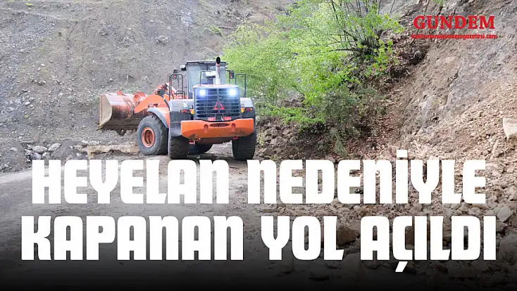 Heyelan Nedeniyle Kapanan Yol Açıldı