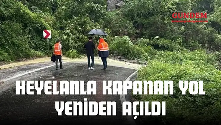 Heyelanla Kapanan Yol Yeniden Açıldı
