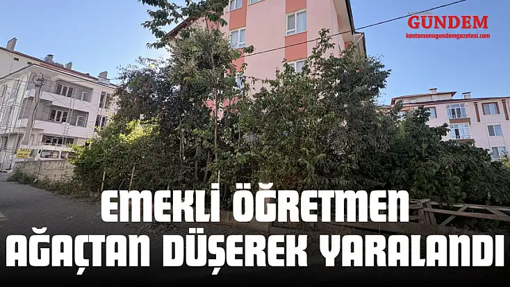 Ihlamur Ağacından Düşen Emekli Öğretmen Yaralandı
