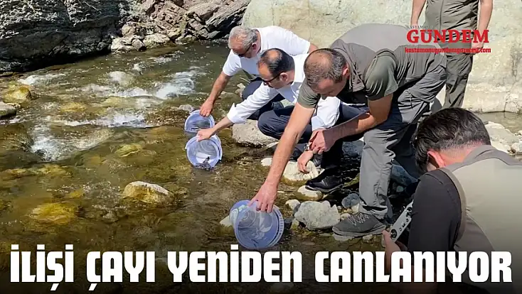 İlişi Çayı Yeniden Canlanıyor