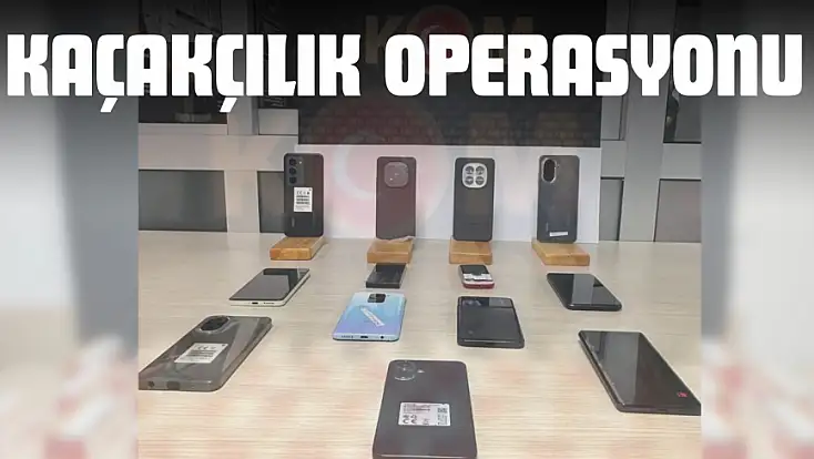 Kastamonu’da Kaçakçılık Operasyonu