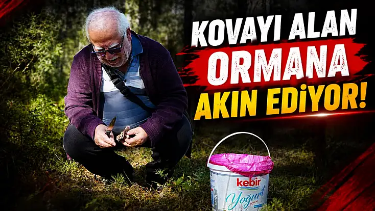 Kastamonu’da Kovayı Alan Ormana Akın Ediyor!