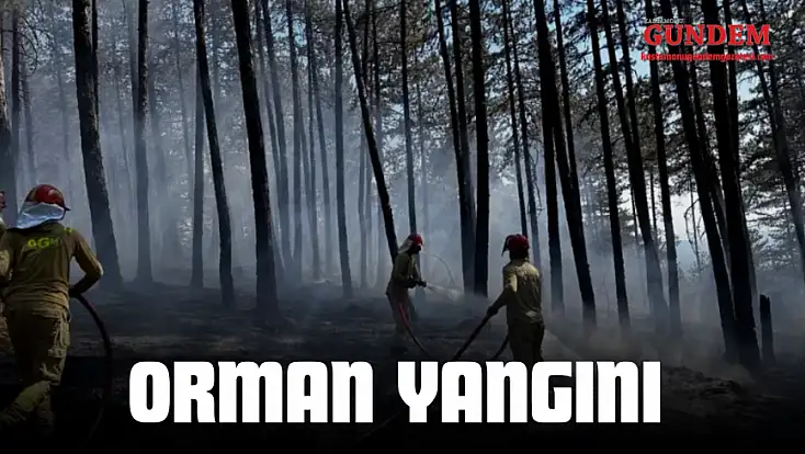Kastamonu'da Orman Yangını