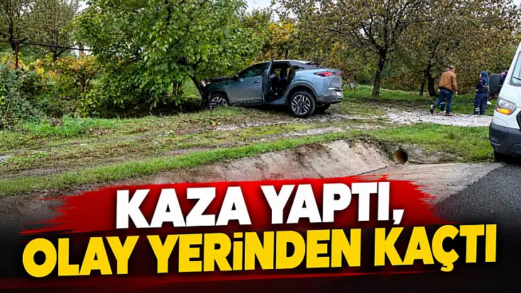 Kaza Yaptı, Olay Yerinden Kaçtı
