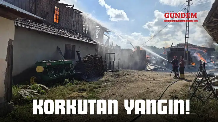 Korkutan Yangın!
