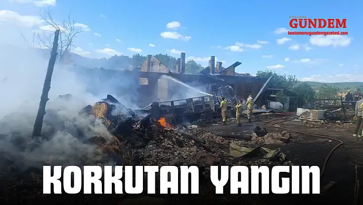 Korkutan Yangın