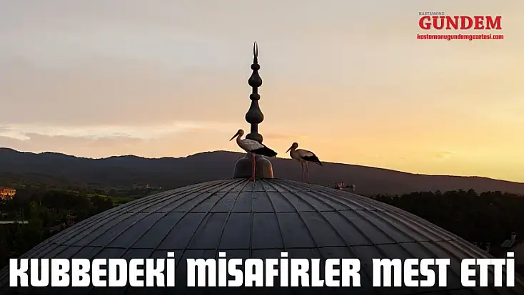 Kubbedeki Misafirler Mest Etti