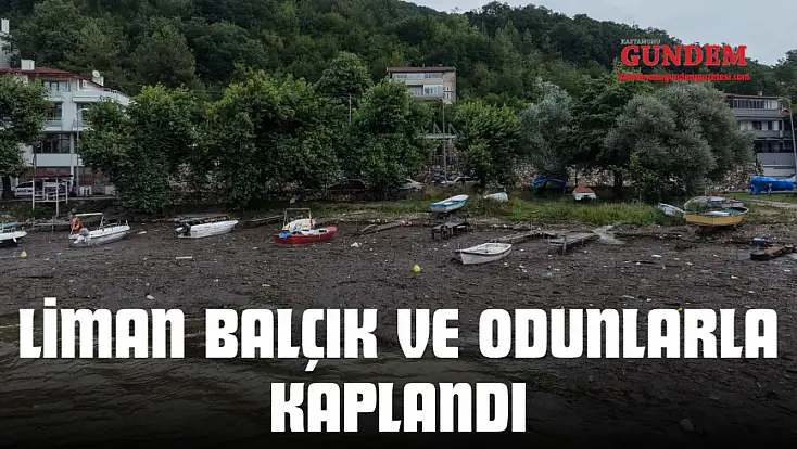 Liman Balçık Ve Odunlarla Kaplandı