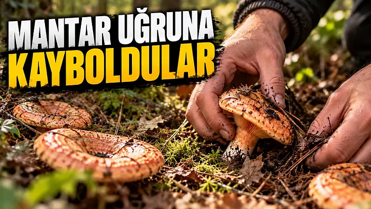 Mantar Uğruna Kayboldular
