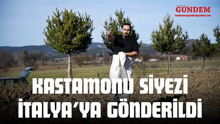 Midesinde Siyez Çıkan Mumya Sonrası Kastamonu Siyezi İtalya’ya Gönderildi
