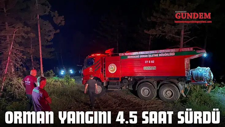 Orman Yangını 4.5 Saat Sürdü