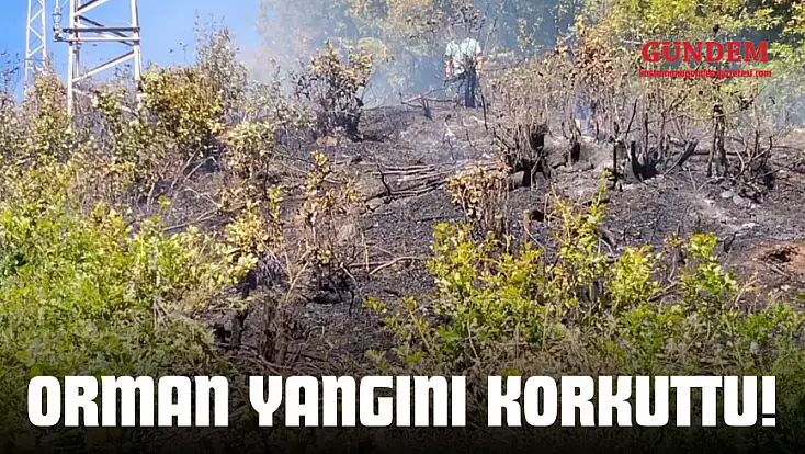 Orman Yangını Korkuttu!