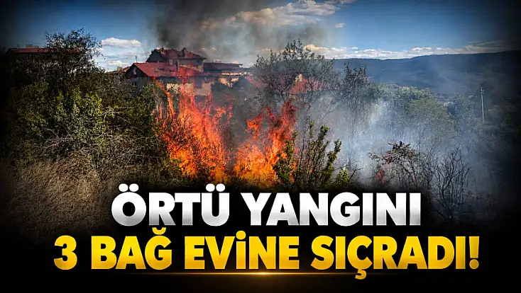 Örtü Yangını 3 Bağ Evine Sıçradı