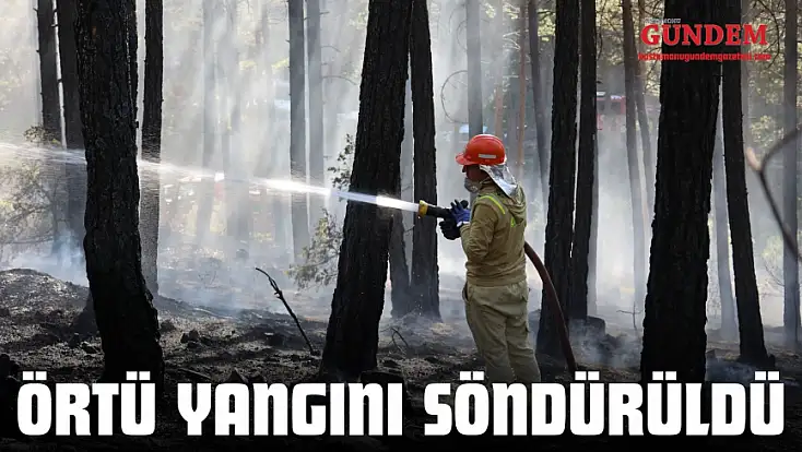 Örtü Yangını Söndürüldü
