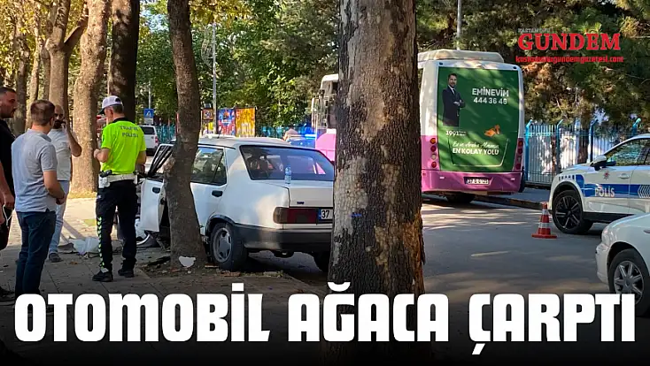 Otomobil Ağaca Çarptı