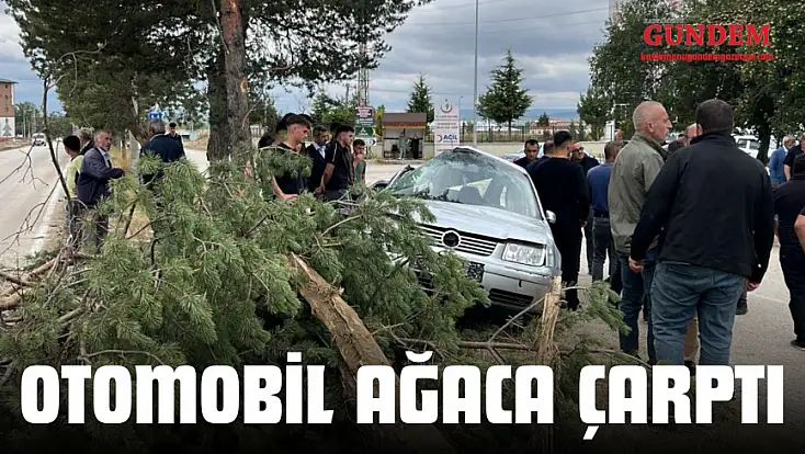 Otomobil Ağaca Çarptı