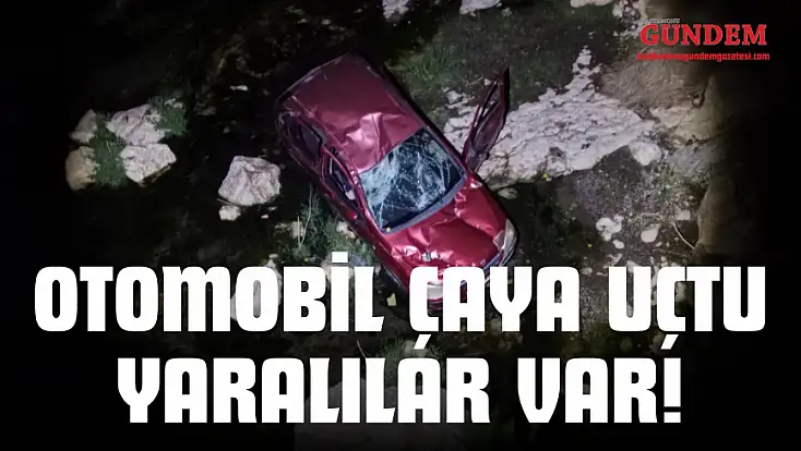 Otomobil Çaya Uçtu, Yaralılar Var!