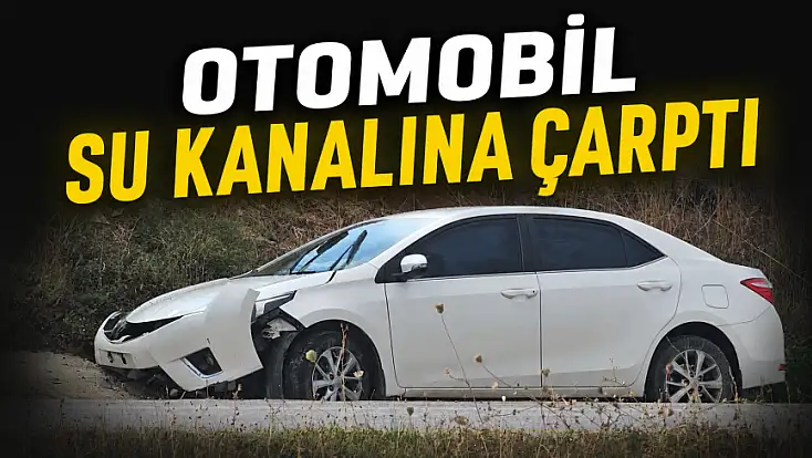 Otomobil Su Kanalına Çarptı