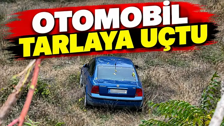 Otomobil Tarlaya Uçtu