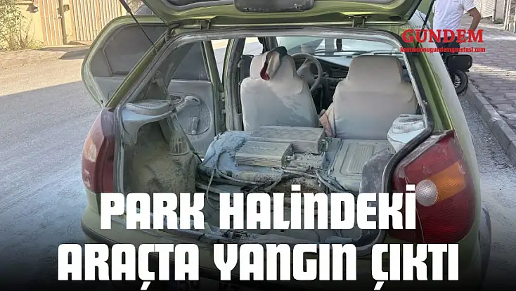 Park Halindeki Araçta Yangın Çıktı