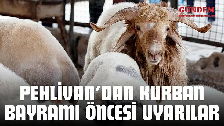 Pehlivan’dan Kurban Bayramı Öncesi Uyarılar