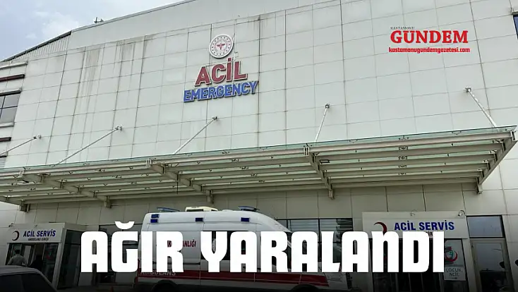 Pencereden Düştü, Ağır Yaralandı