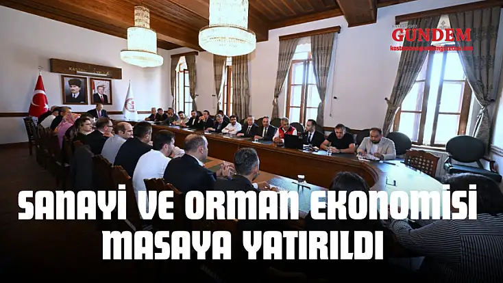 Sanayi Ve Orman Ekonomisi Masaya Yatırıldı