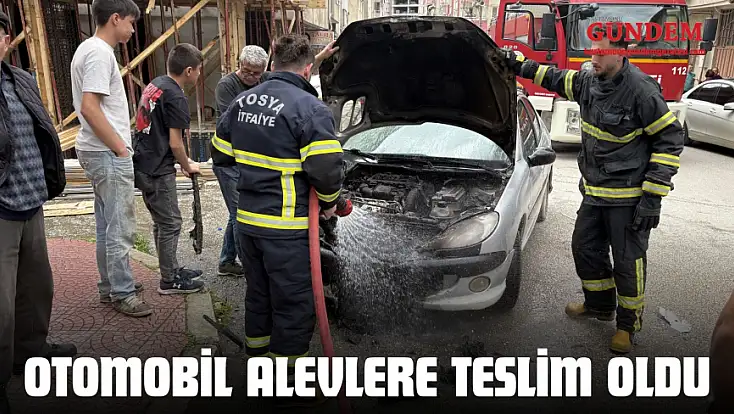 Seyir Halindeki Otomobil Alevlere Teslim Oldu