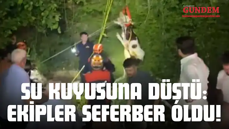 Su Kuyusuna Düştü: Ekipler Seferber Oldu!