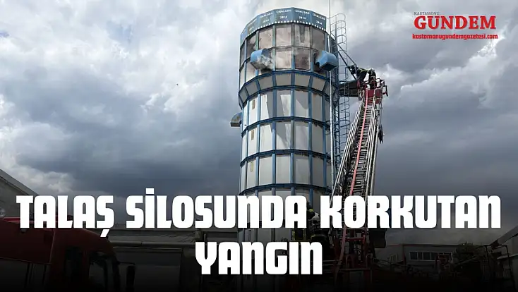 Talaş Silosunda Korkutan Yangın