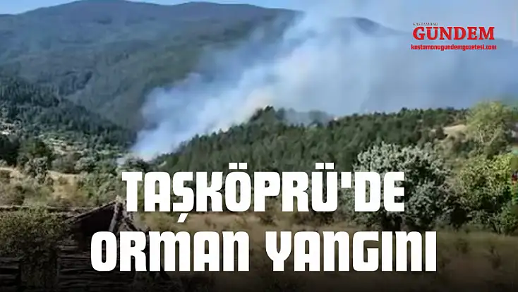 Taşköprü'de Orman Yangını