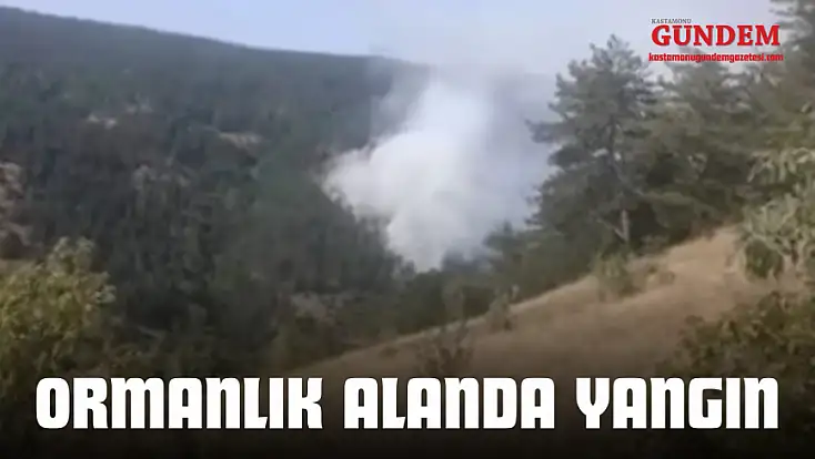 Taşköprü’de Orman Yangını