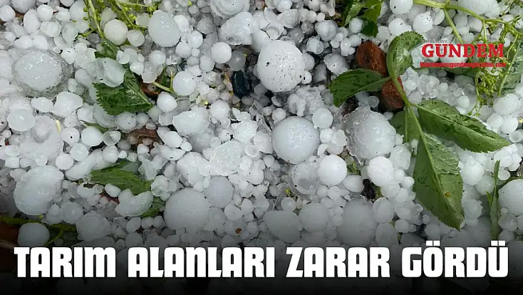 Taşköprü’de Tarım Alanları Zarar Gördü
