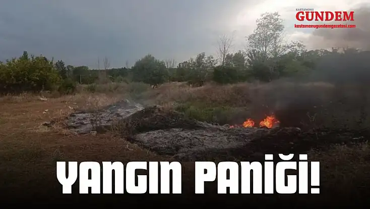 Taşköprü'de Yangın Paniği!