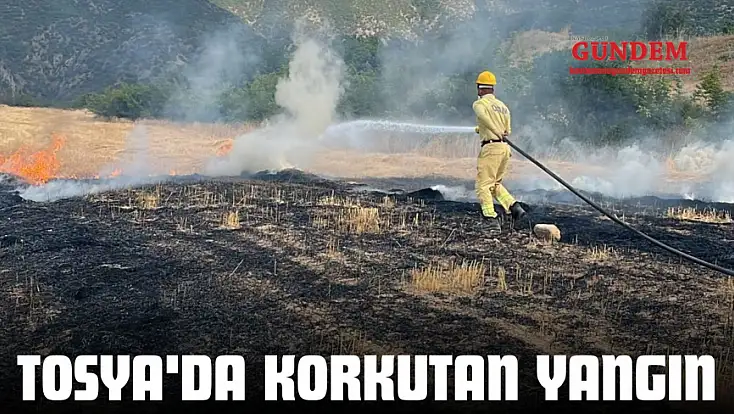 Tosya'da Korkutan Yangın