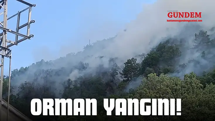 Tosya'da Orman Yangını!