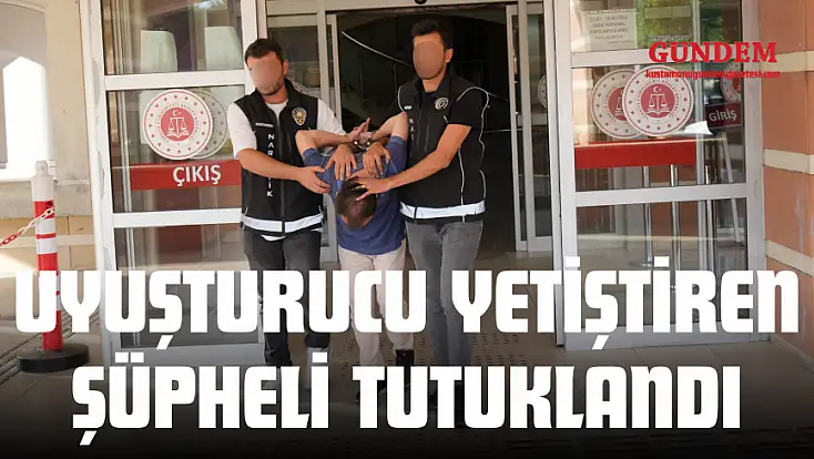 Uyuşturucu Yetiştiren Şüpheli Tutuklandı